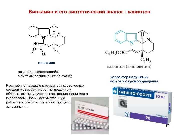 Винкамин и его синтетический аналог - кавинтон винкамин алкалоид, содержащийся