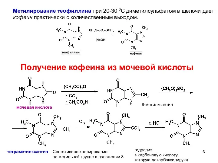 мочевая кислота Получение кофеина из мочевой кислоты 8-метилксантин тетраметилксантин Селективное