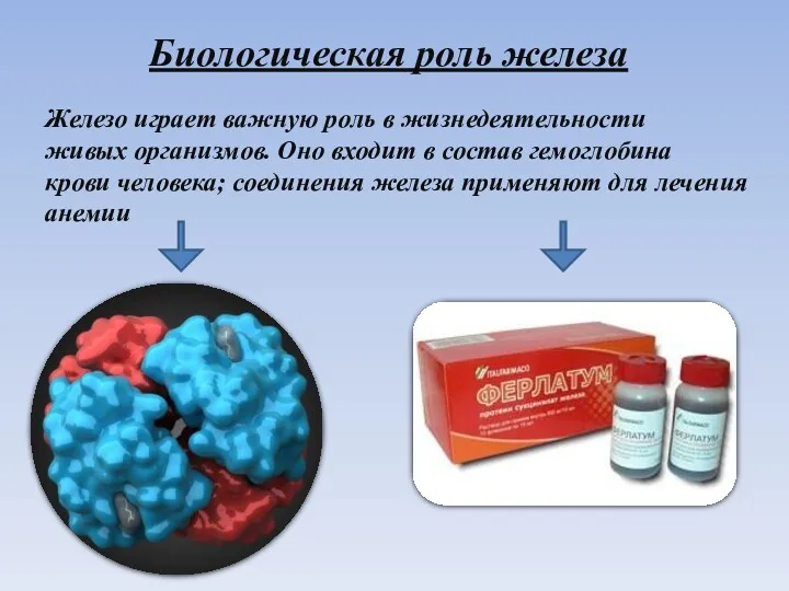 Биологическая роль железа Железо играет важную роль в жизнедеятельности живых