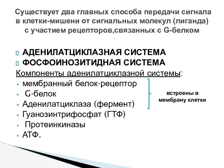 АДЕНИЛАТЦИКЛАЗНАЯ СИСТЕМА ФОСФОИНОЗИТИДНАЯ СИСТЕМА Компоненты аденилатциклазной системы: мембранный белок-рецептор G-белок