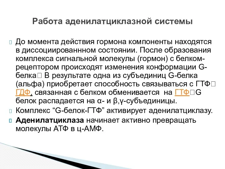 До момента действия гормона компоненты находятся в диссоциированнном состоянии. После