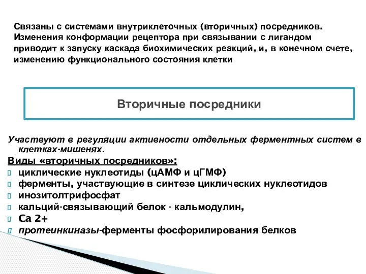 Участвуют в регуляции активности отдельных ферментных систем в клетках-мишенях. Виды