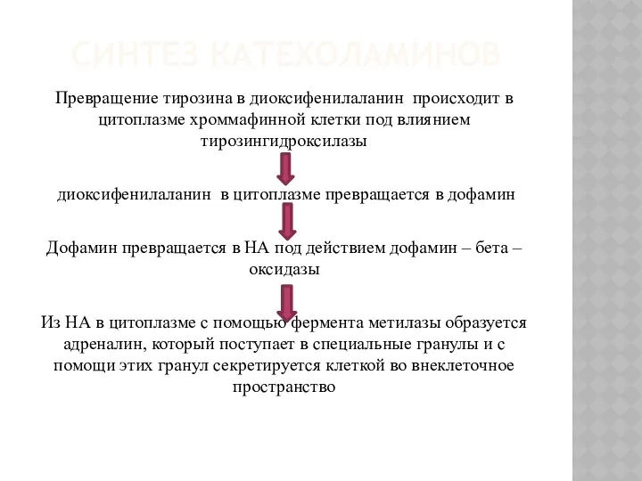 СИНТЕЗ КАТЕХОЛАМИНОВ Превращение тирозина в диоксифенилаланин происходит в цитоплазме хроммафинной