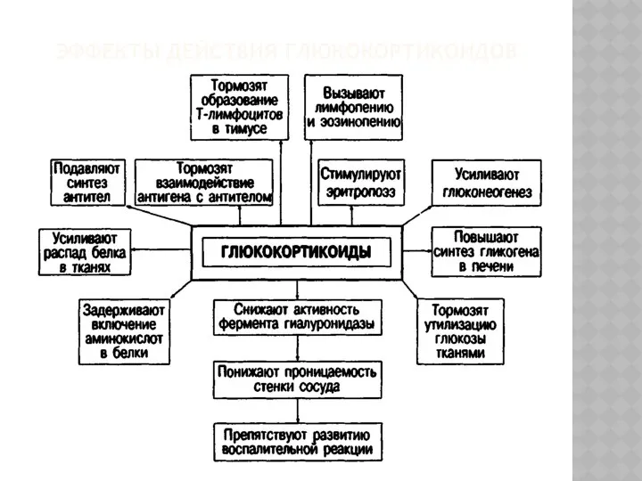 ЭФФЕКТЫ ДЕЙСТВИЯ ГЛЮКОКОРТИКОИДОВ