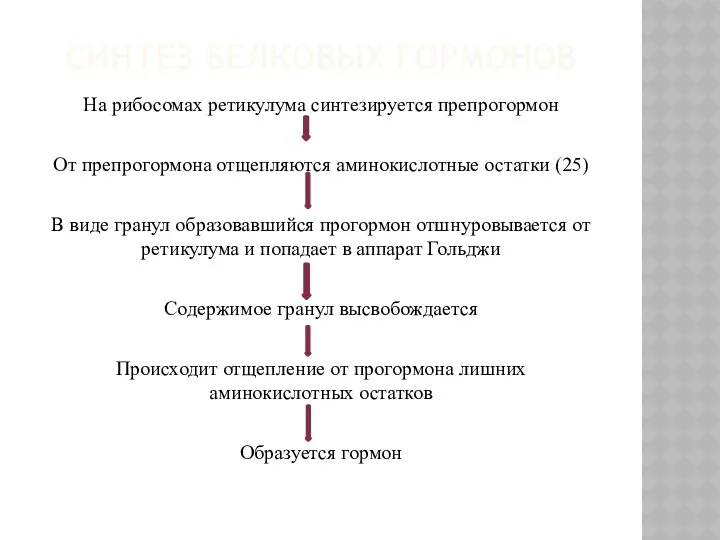 СИНТЕЗ БЕЛКОВЫХ ГОРМОНОВ На рибосомах ретикулума синтезируется препрогормон От препрогормона