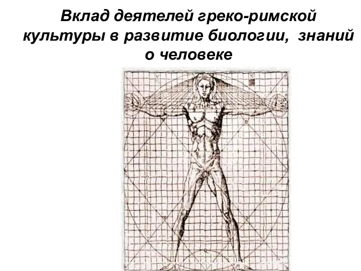 Вклад деятелей греко-римской культуры в развитие биологии, знаний о человеке