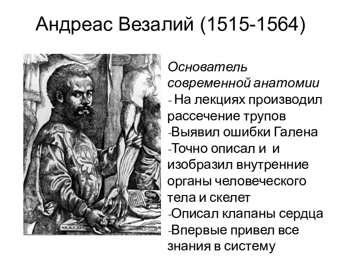 Андреас Везалий (1515-1564) Основатель современной анатомии - На лекциях производил