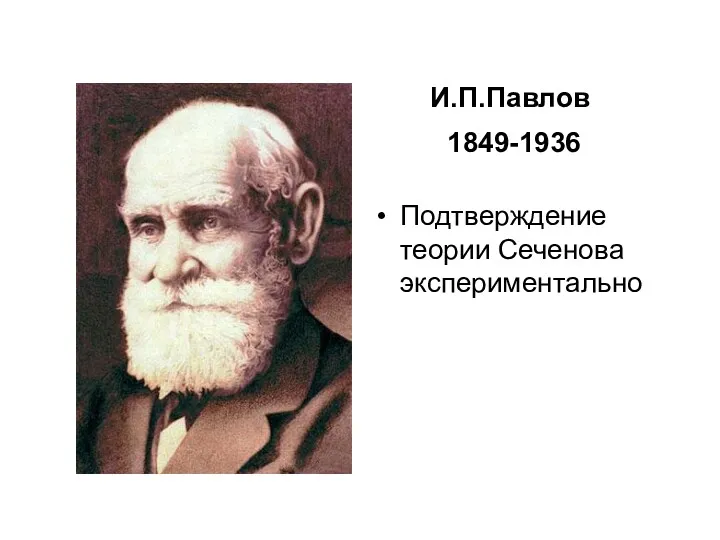 И.П.Павлов 1849-1936 Подтверждение теории Сеченова экспериментально