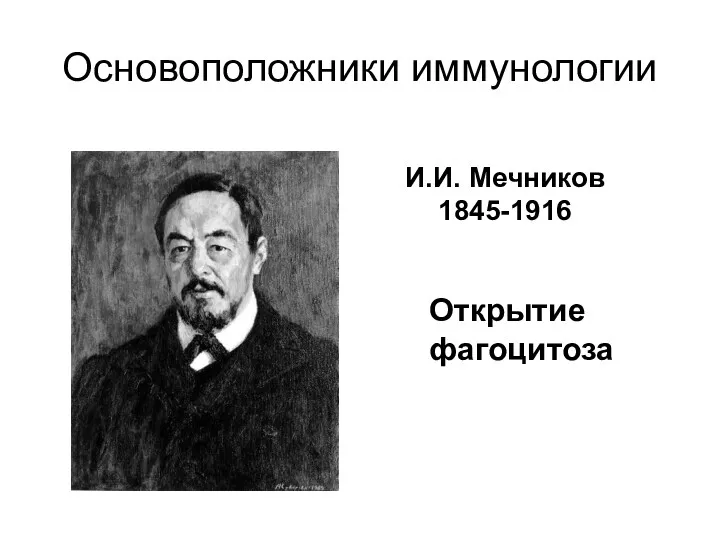 Основоположники иммунологии Открытие фагоцитоза И.И. Мечников 1845-1916