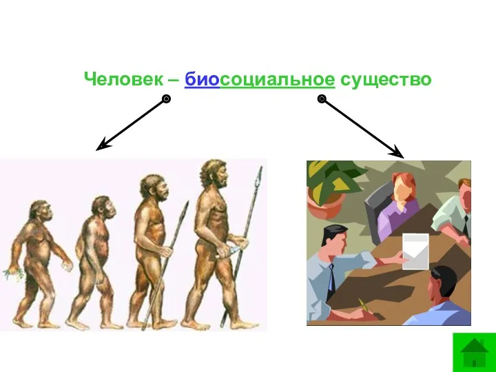 Человек – биосоциальное существо