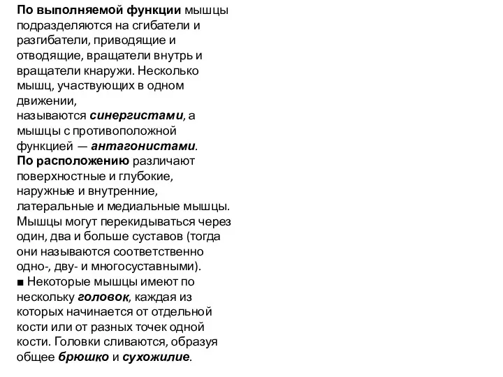 По выполняемой функции мышцы подразделяются на сгибатели и разгибатели, приводящие