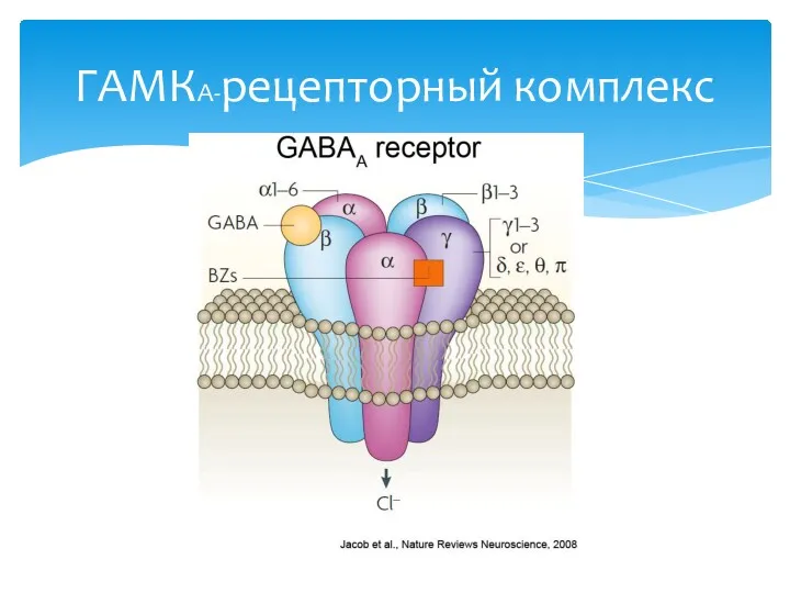 ГАМКА-рецепторный комплекс