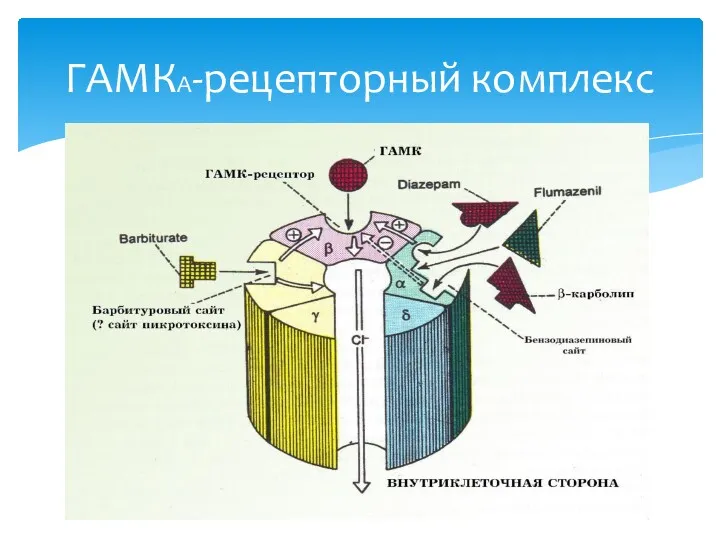 ГАМКА-рецепторный комплекс