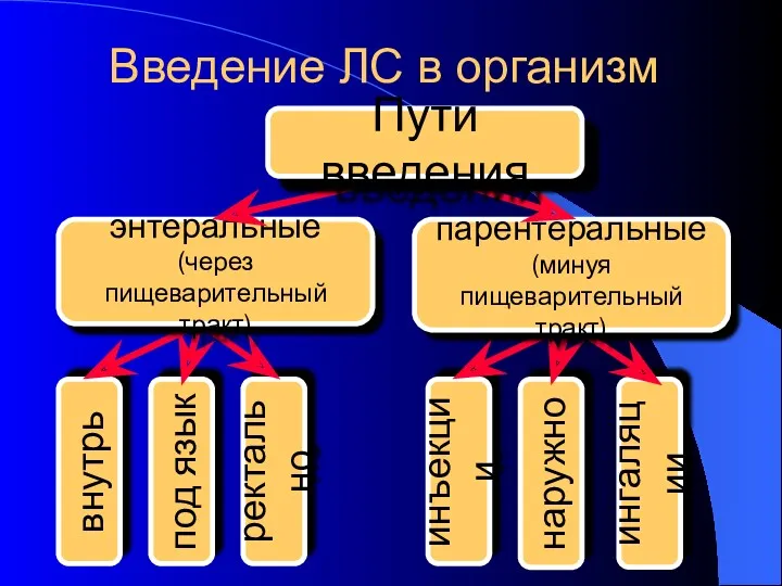 внутрь Введение ЛС в организм под язык ректально инъекции наружно