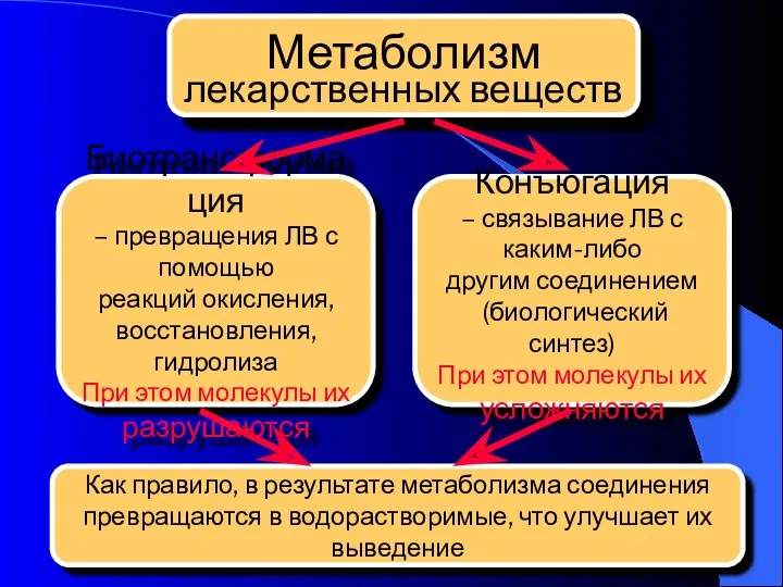 Как правило, в результате метаболизма соединения превращаются в водорастворимые, что