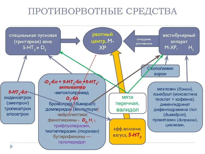 ПРОТИВОРВОТНЫЕ СРЕДСТВА специальная пусковая (триггерная) зона 5-НТ3 и D2 вестибулярный