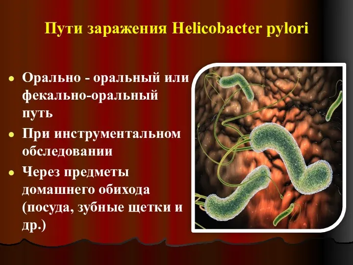 Пути заражения Helicobacter pylori Орально - оральный или фекально-оральный путь При инструментальном обследовании