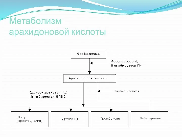 Метаболизм арахидоновой кислоты