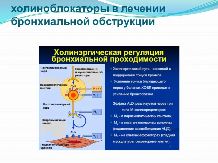 Ингаляционные М-холиноблокаторы в лечении бронхиальной обструкции