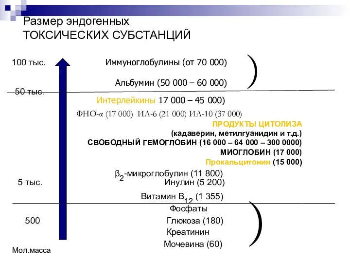 Размер эндогенных ТОКСИЧЕСКИХ СУБСТАНЦИЙ 100 тыс. 50 тыс. 5 тыс.