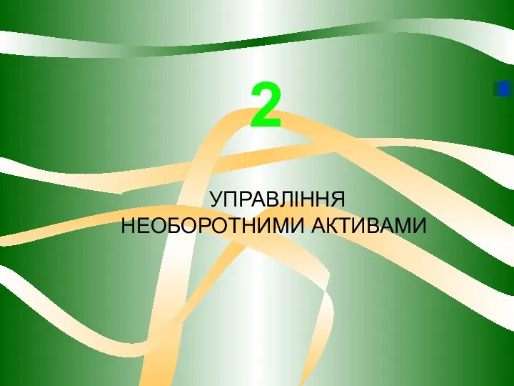 УПРАВЛІННЯ НЕОБОРОТНИМИ АКТИВАМИ 2