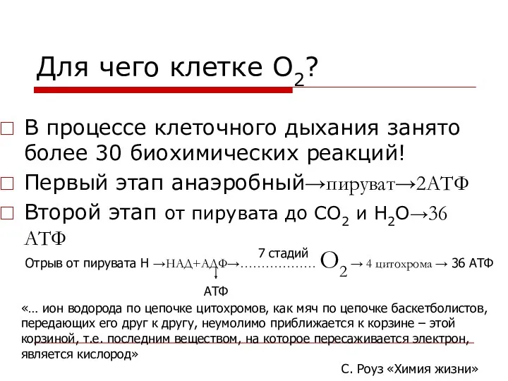 Для чего клетке О2? В процессе клеточного дыхания занято более