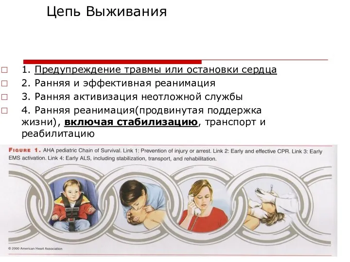 Цепь Выживания 1. Предупреждение травмы или остановки сердца 2. Ранняя