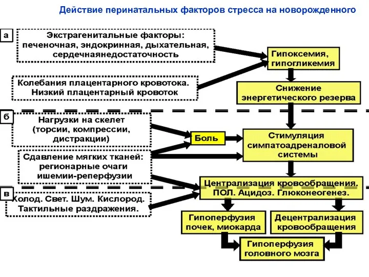 Действие перинатальных факторов стресса на новорожденного