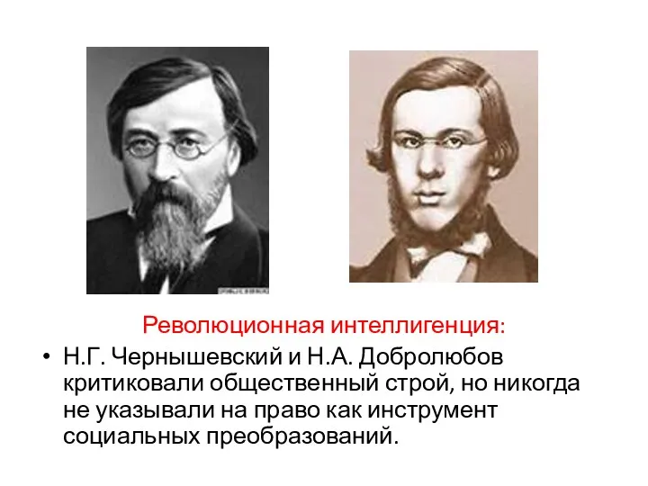 Революционная интеллигенция: Н.Г. Чернышевский и Н.А. Добролюбов критиковали общественный строй,