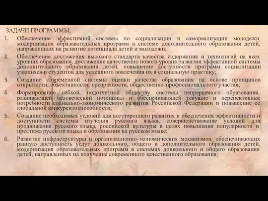 ЗАДАЧИ ПРОГРАММЫ: Обеспечение эффективной системы по социализации и самореализации молодежи,