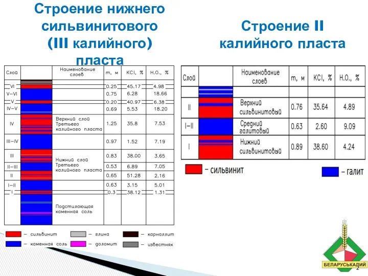 Строение нижнего сильвинитового (III калийного) пласта Строение II калийного пласта