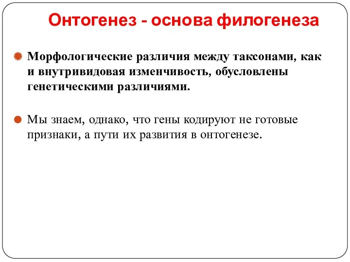 Онтогенез - основа филогенеза Морфологические различия между таксонами, как и