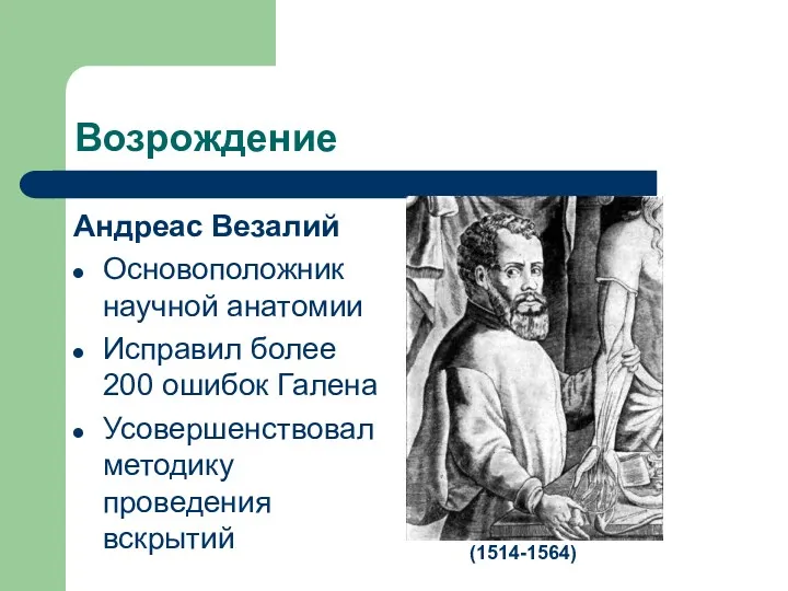 Возрождение Андреас Везалий Основоположник научной анатомии Исправил более 200 ошибок Галена Усовершенствовал методику проведения вскрытий (1514-1564)