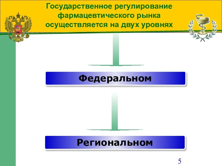 Государственное регулирование фармацевтического рынка осуществляется на двух уровнях Федеральном Региональном