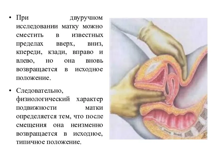 При двуручном исследовании матку можно сместить в известных пределах вверх,