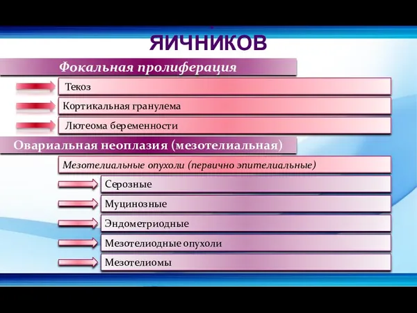 Фокальная пролиферация Текоз Кортикальная гранулема Лютеома беременности Овариальная неоплазия (мезотелиальная)