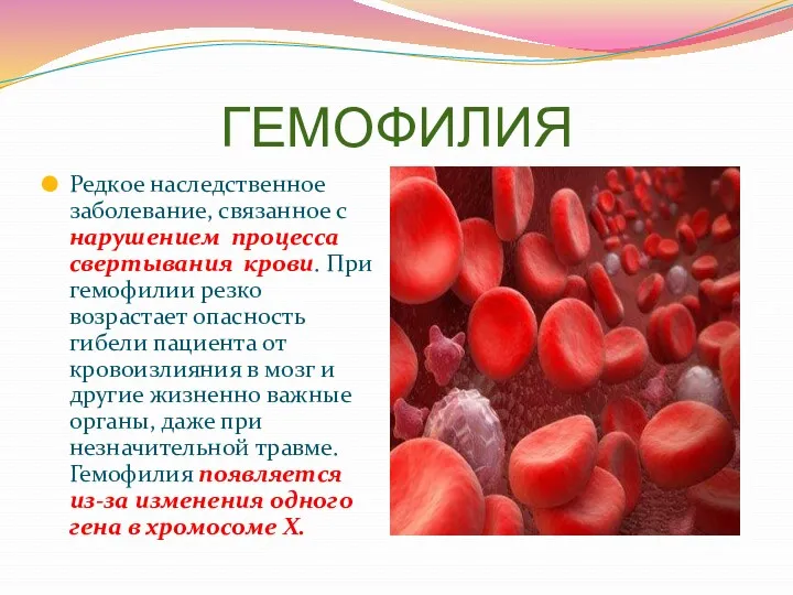 ГЕМОФИЛИЯ Редкое наследственное заболевание, связанное с нарушением процесса свертывания крови.