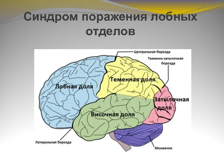 Синдром поражения лобных отделов