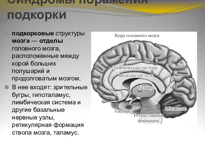 Синдромы поражения подкорки подкорковые структуры мозга — отделы головного мозга,