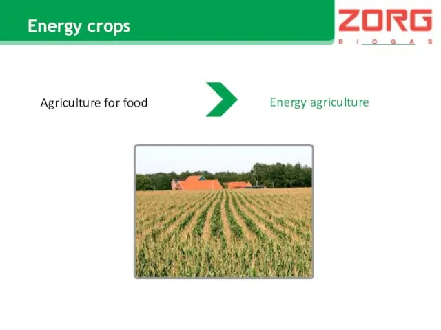 Energy agriculture Agriculture for food Energy crops