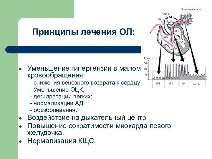 Принципы лечения ОЛ: Уменьшение гипертензии в малом круге кровообращения: -