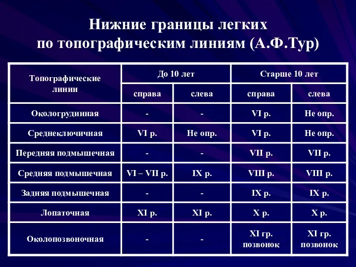 Нижние границы легких по топографическим линиям (А.Ф.Тур)