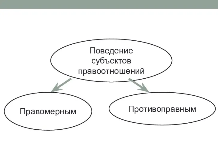 Поведение субъектов правоотношений Правомерным Противоправным