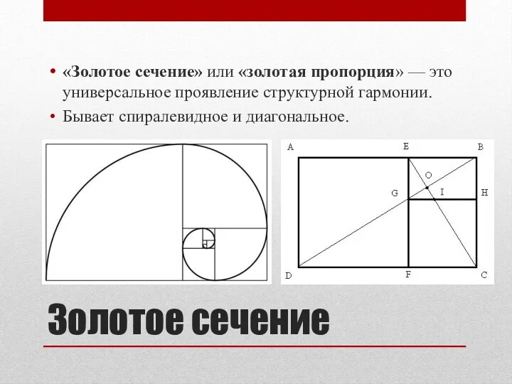 Золотое сечение «Золотое сечение» или «золотая пропорция» — это универсальное