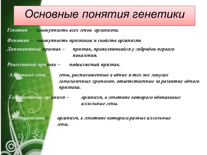 Генотип – совокупность всех генов организма. Фенотип – совокупность признаков