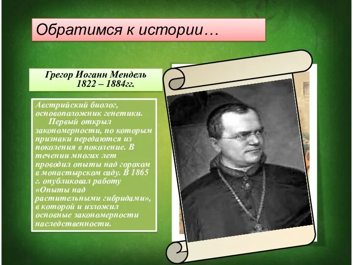 Австрийский биолог, основоположник генетики. Первый открыл закономерности, по которым признаки