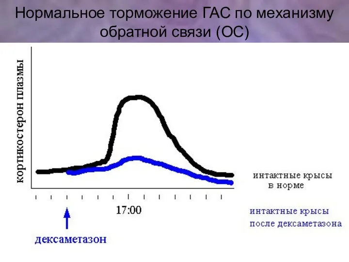 Нормальное торможение ГАС по механизму обратной связи (ОС)