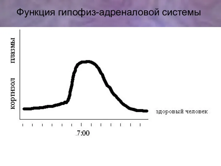 Функция гипофиз-адреналовой системы