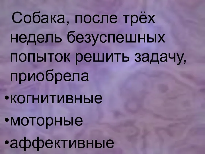 Собака, после трёх недель безуспешных попыток решить задачу, приобрела когнитивные моторные аффективные расстройства