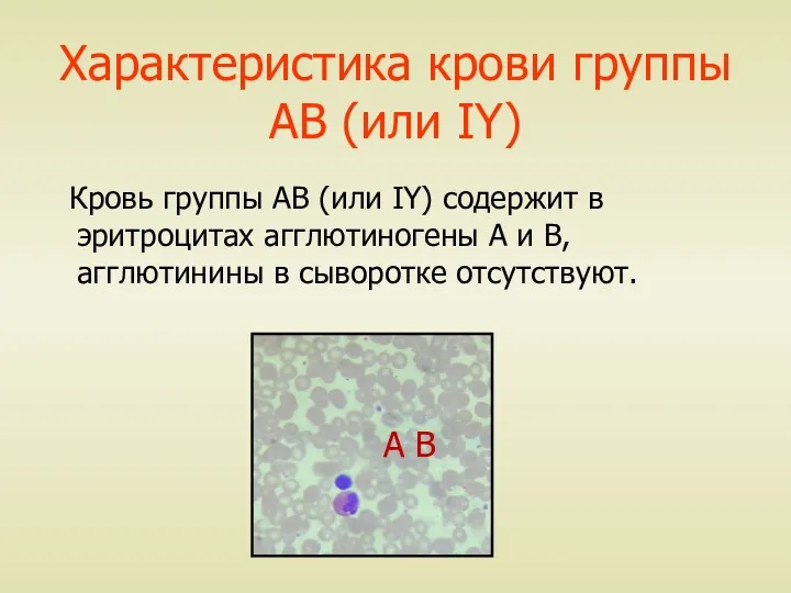 Характеристика крови группы АВ (или IY) Кровь группы АВ (или